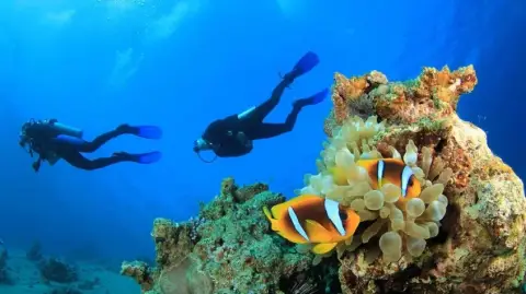 Kas Scuba Diving Tour – Daily Mediterranean Dive Experience (Shared)