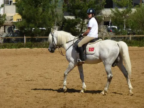 Horse Farm Day Tour from Kastamonu – Ride at Daday & Visit Tasci Pond