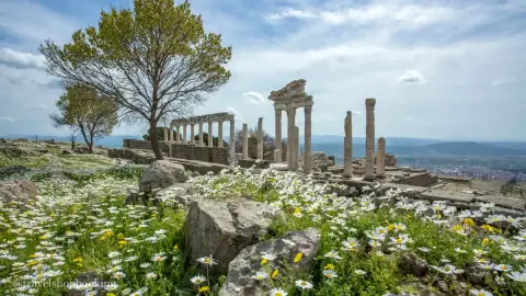 Daily Pergamon Tour from Izmir (Private)