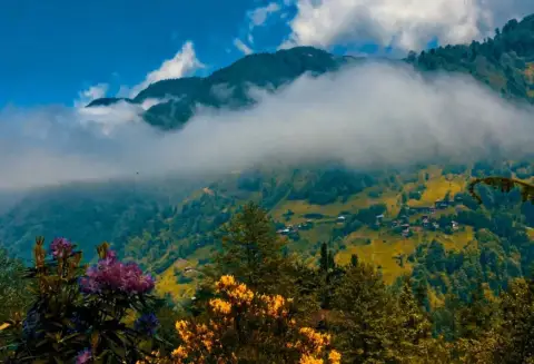 Daily Rize Handuzu Plateau Tour – Guneysu Valley & Waterfall Trail (Shared)
