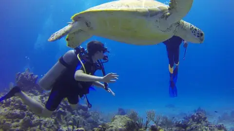 Daily Scuba Diving Tour from Kemer – Two Dives at Kiris Bays