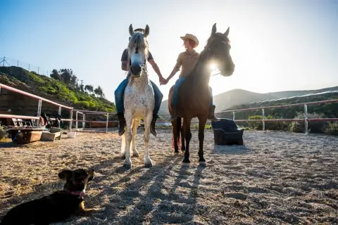 Istanbul Horse Safari Day Tour (Shared) — Istanbul