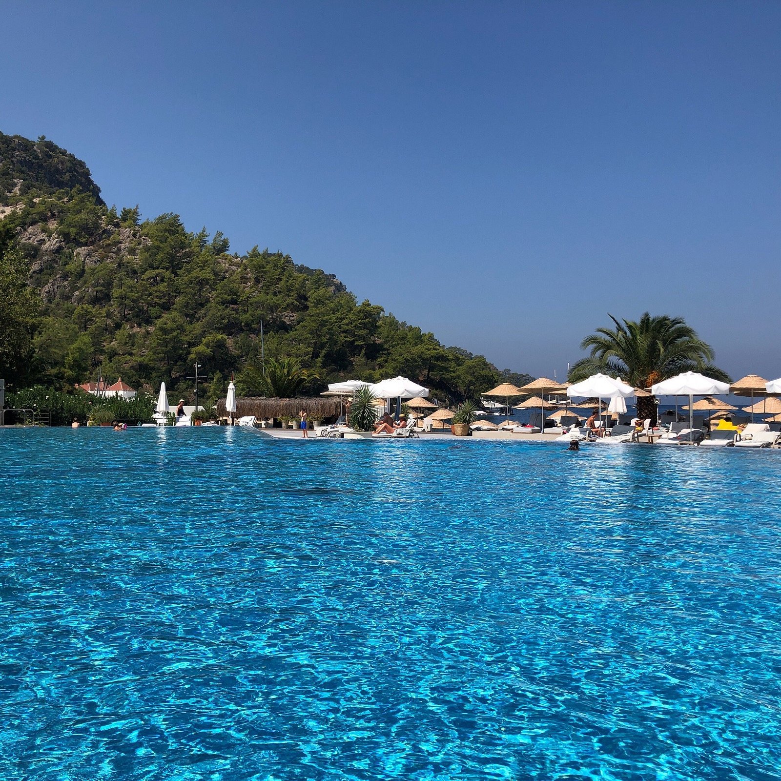 Hillside Beach Club photo 16