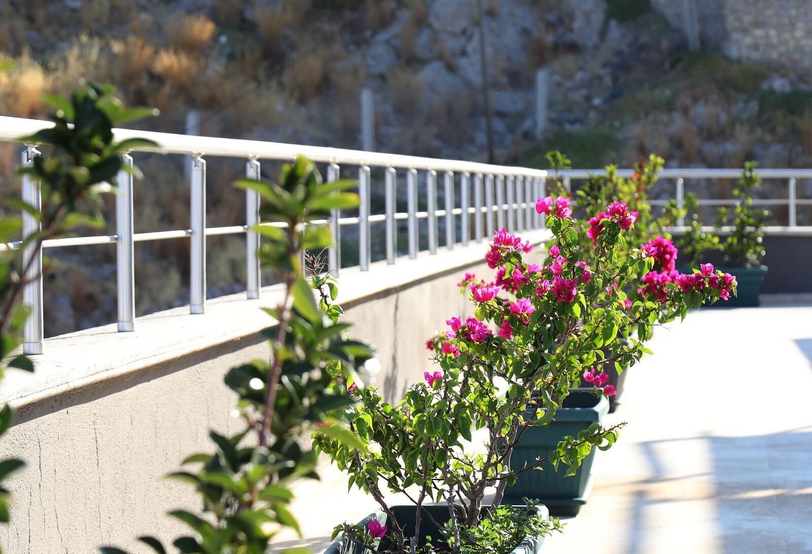 Grand Faik Hotel photo 5