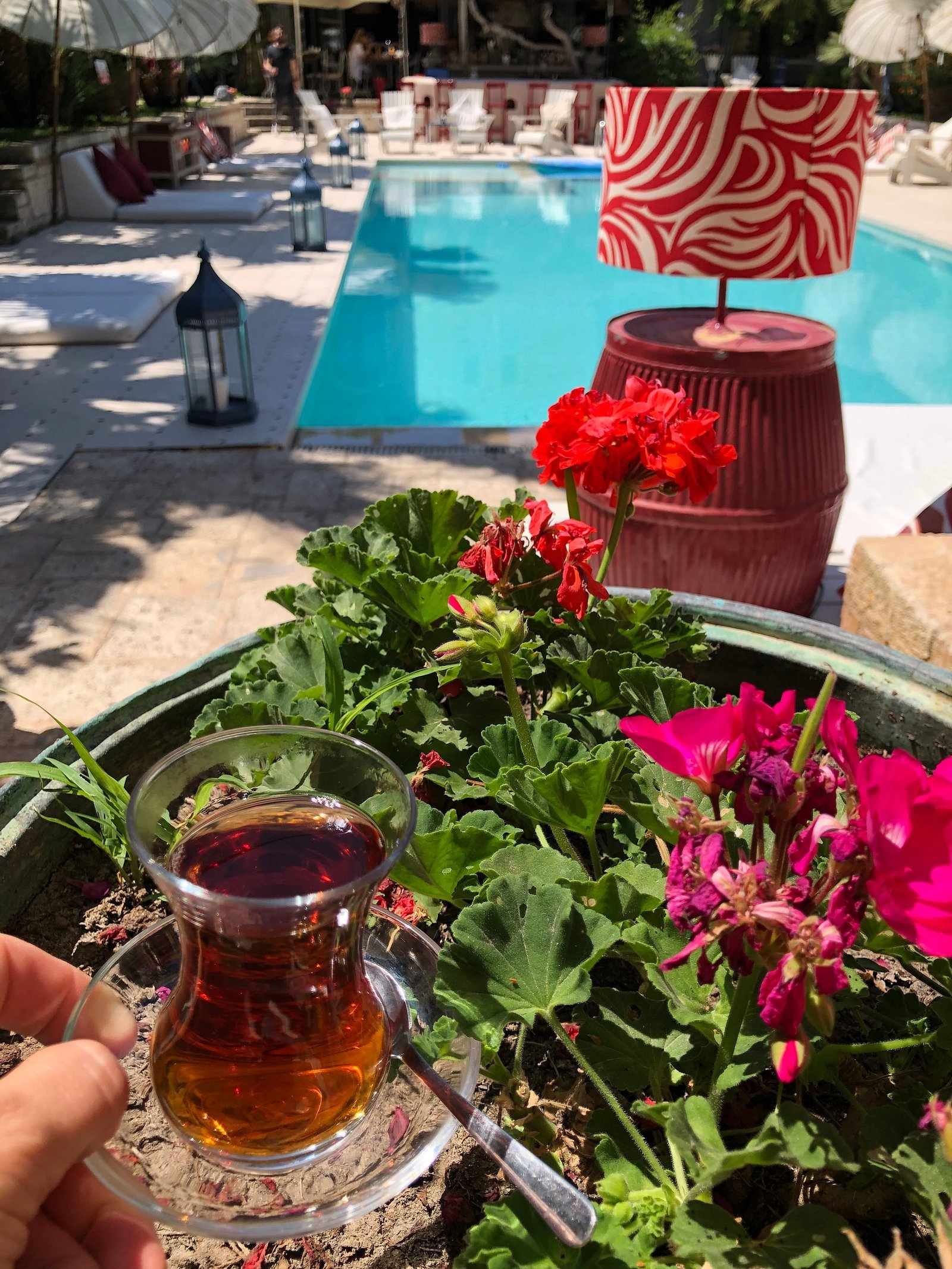 La Capria Suite Hotel photo 17