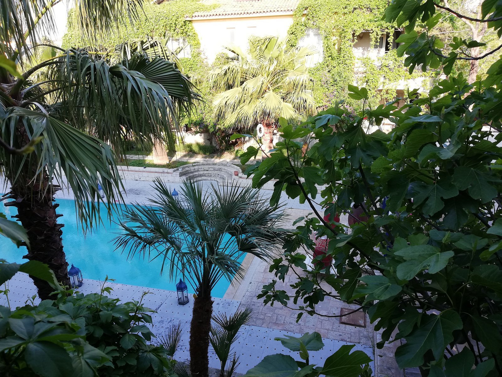 La Capria Suite Hotel photo 2