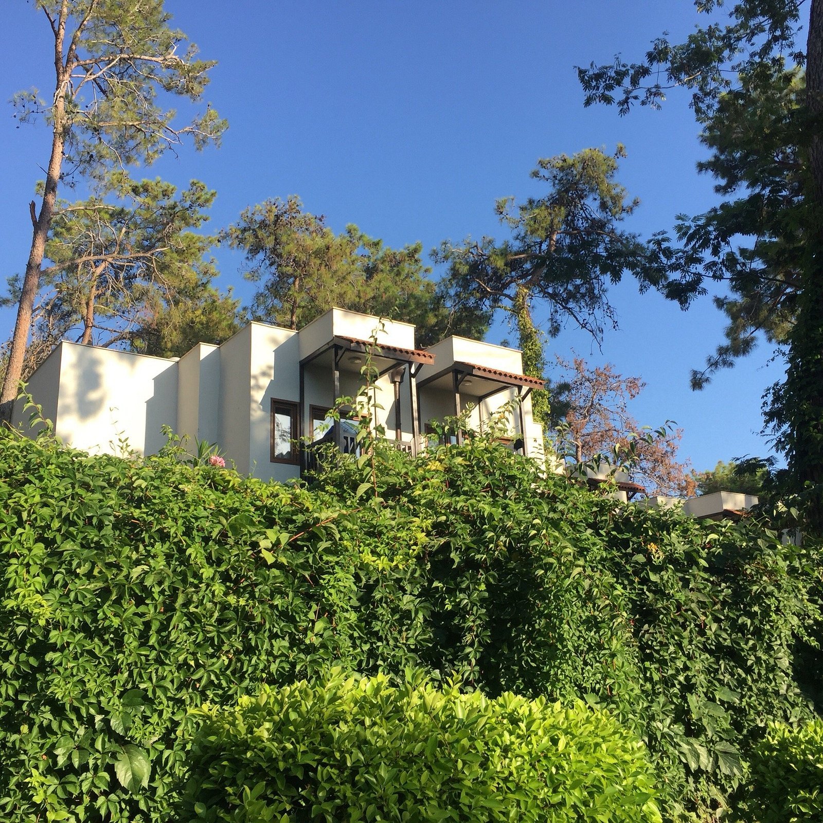 Oludeniz Turquoise Hotel photo 4