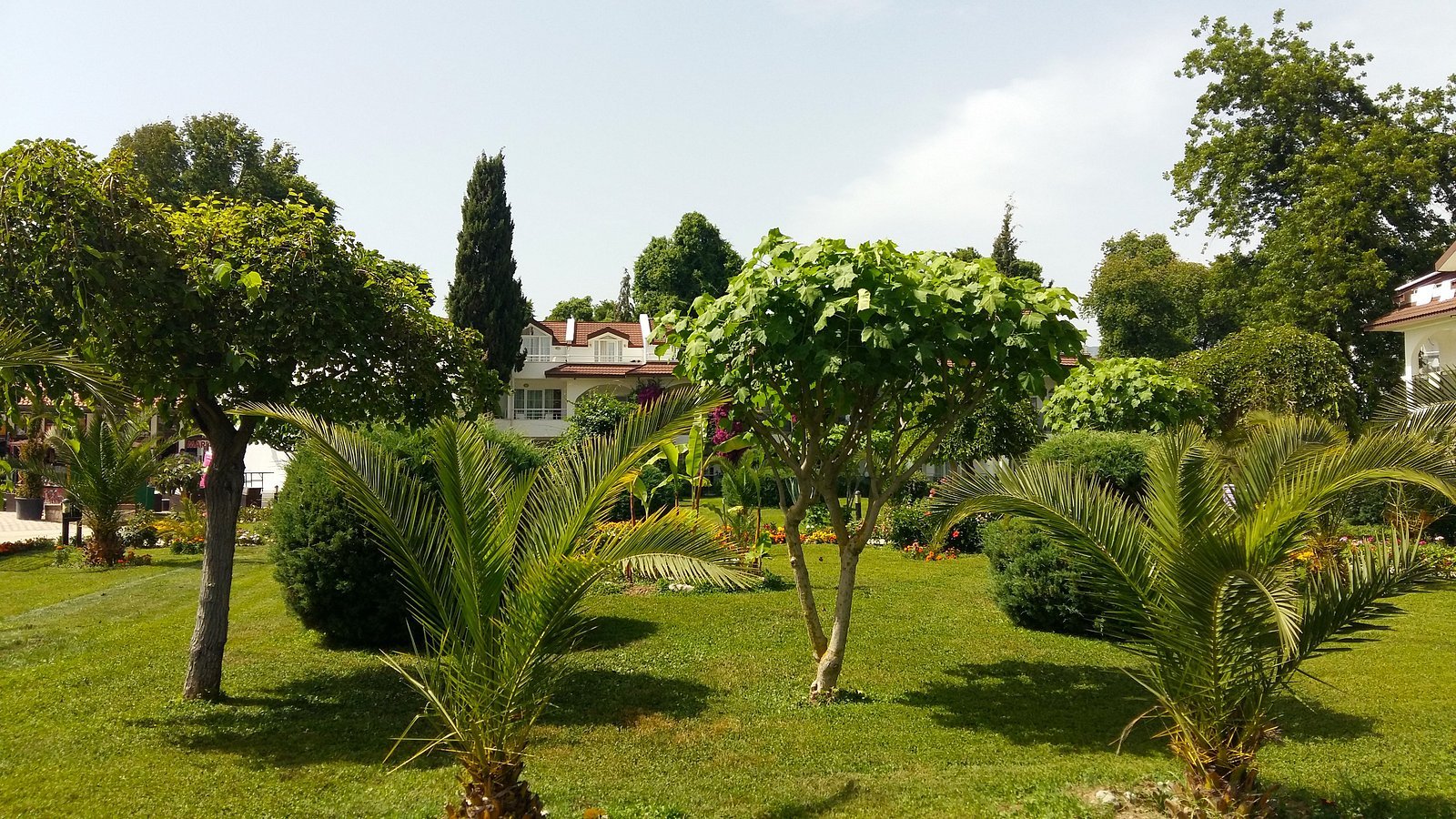 Lykia Botanika Beach Hotel photo 6