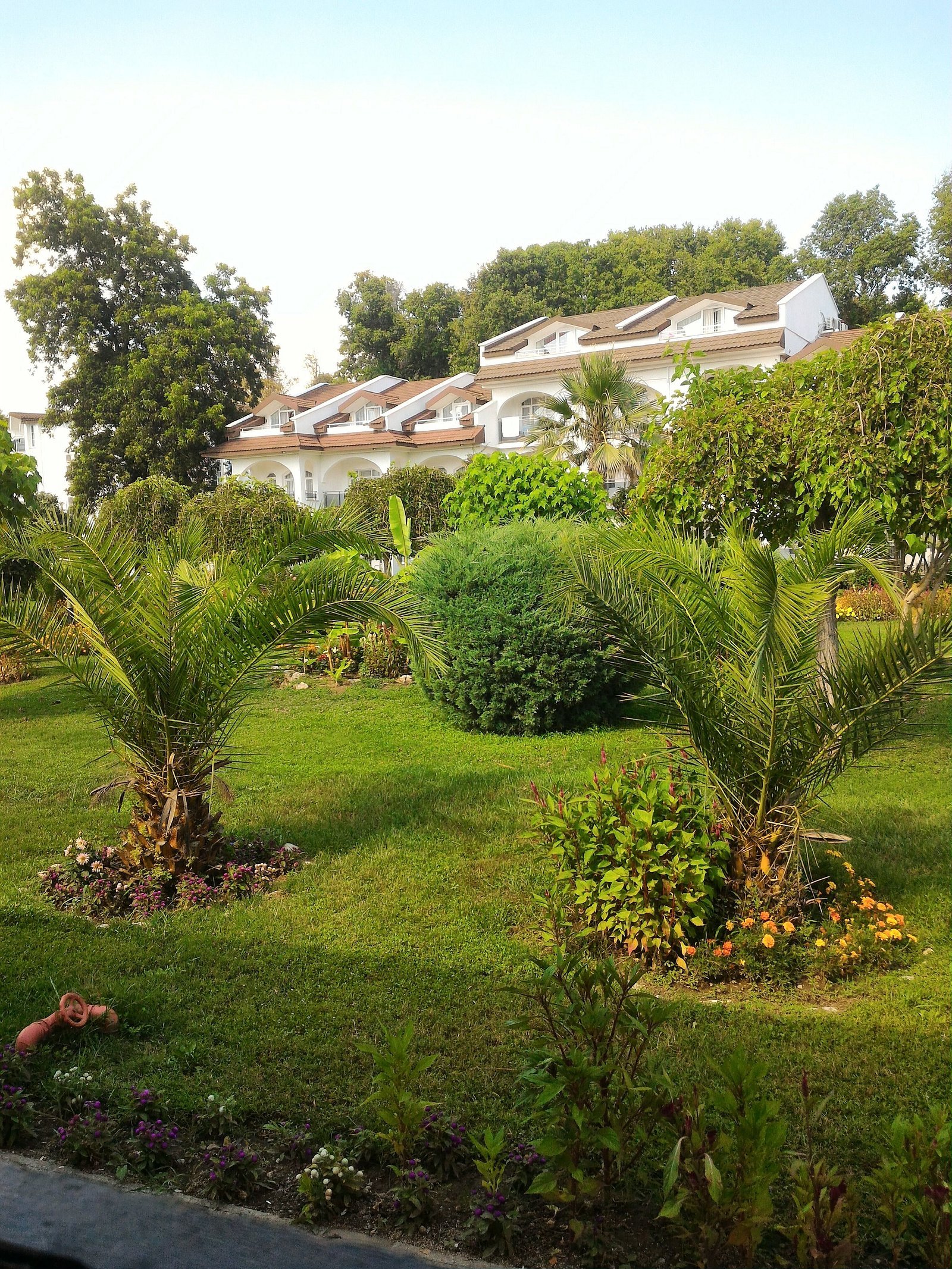 Lykia Botanika Beach Hotel photo 8