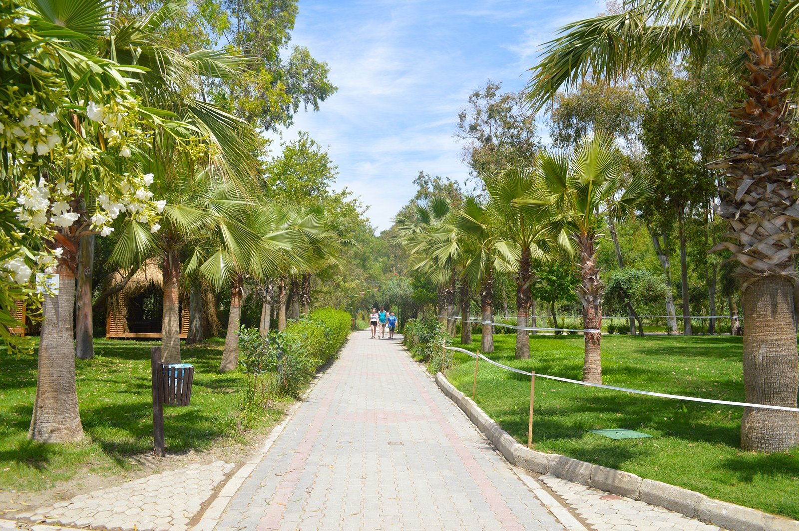 Lykia Botanika Beach Hotel photo 13