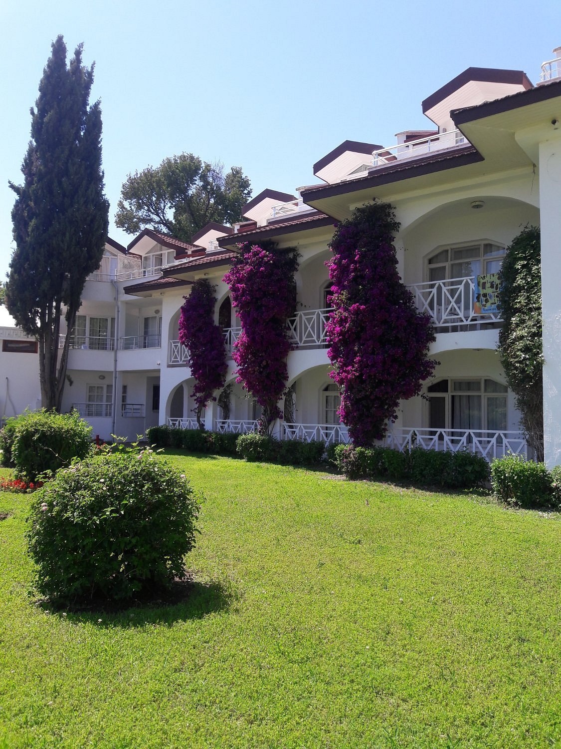 Lykia Botanika Beach Hotel photo 2