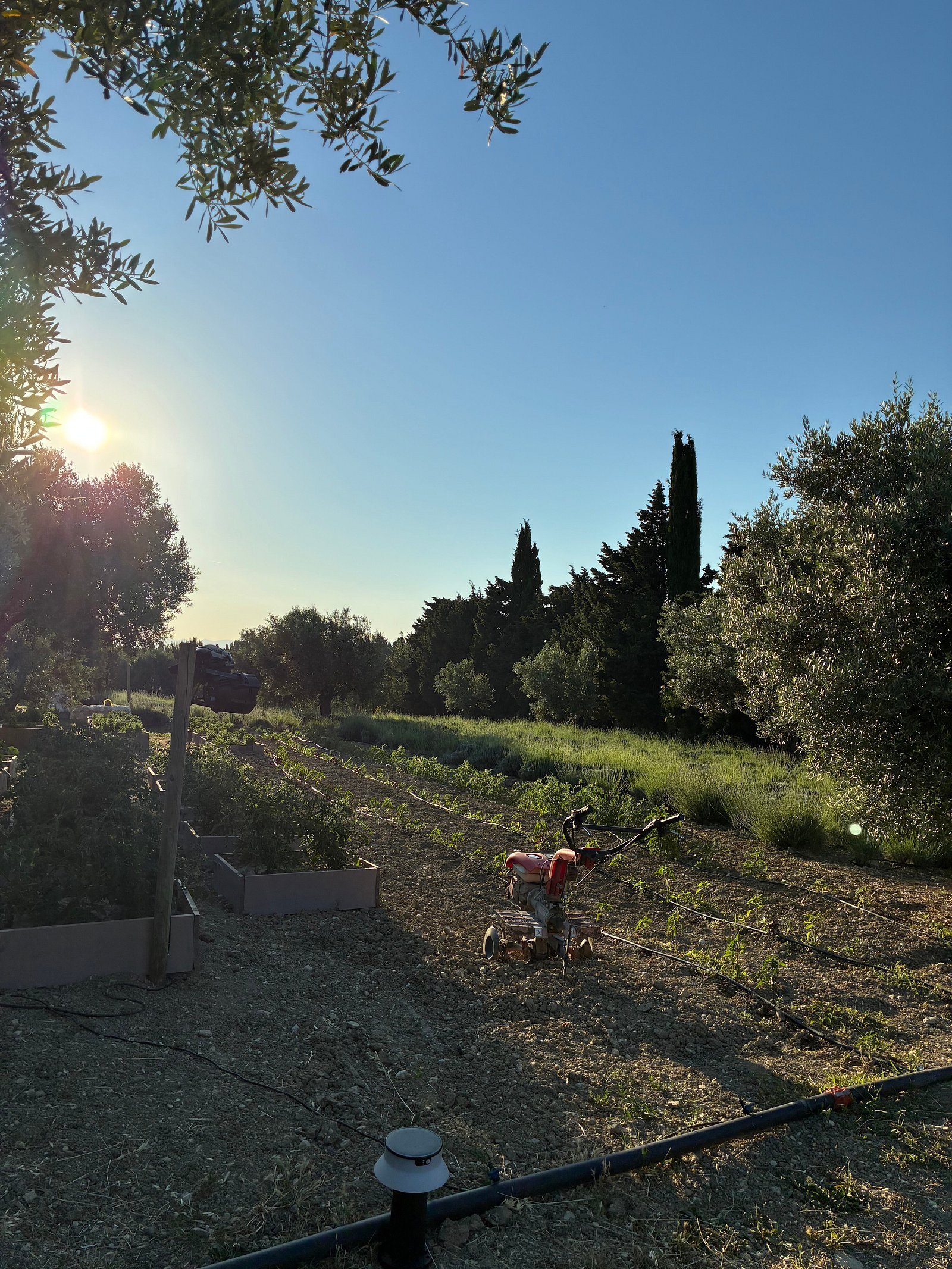Kestelinn Alacatı photo 4