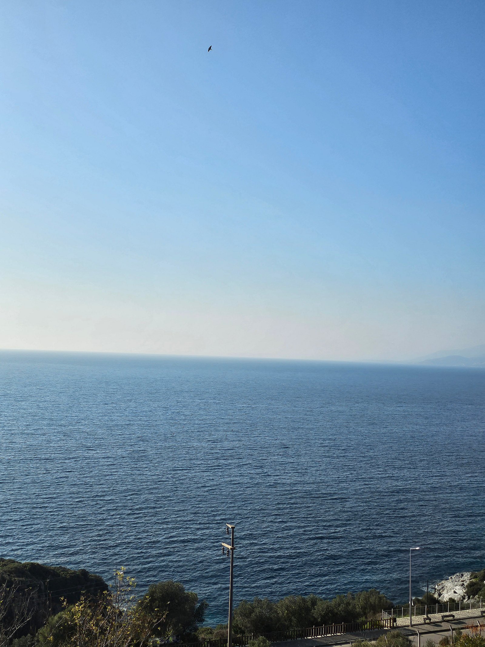 Otel Carpediem Gold Kuşadası photo 3