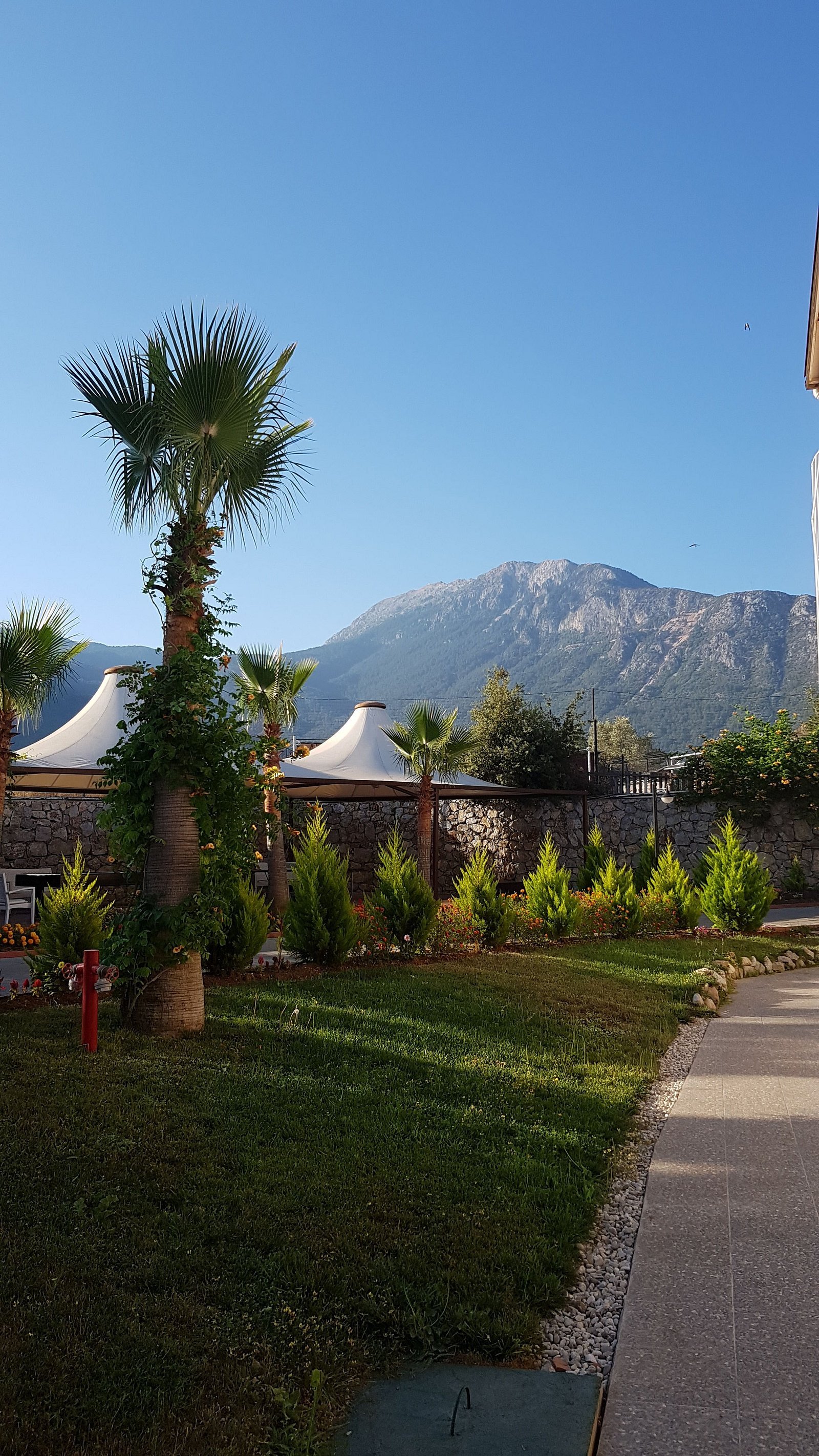 Sahra Su Holiday Village & Spa photo 2