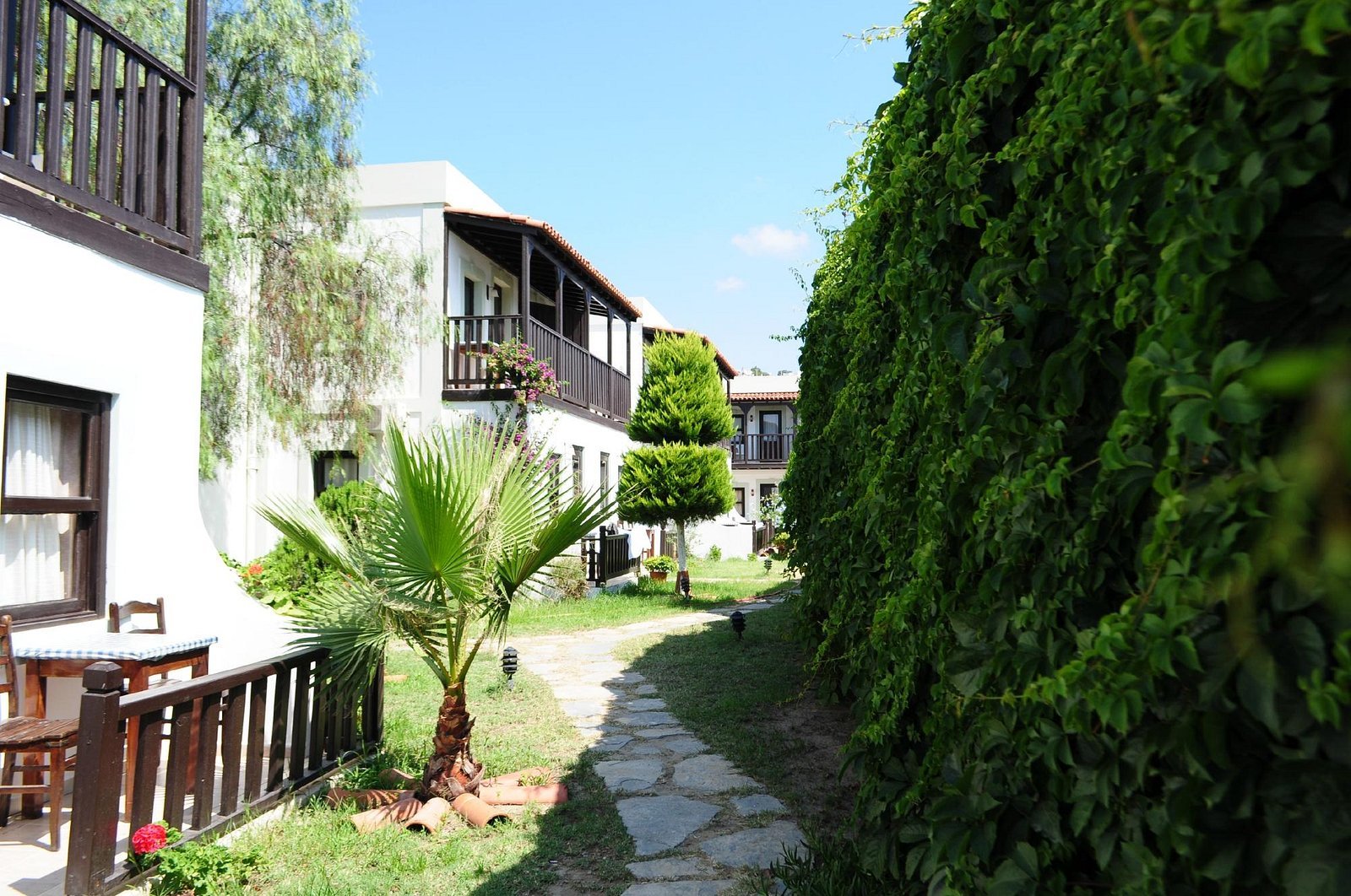 Salinas Beach Hotel photo 5