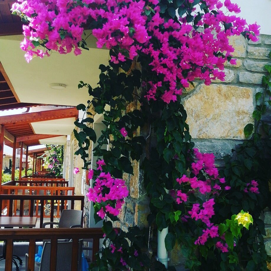 Karaincir Suit Otel — Datça