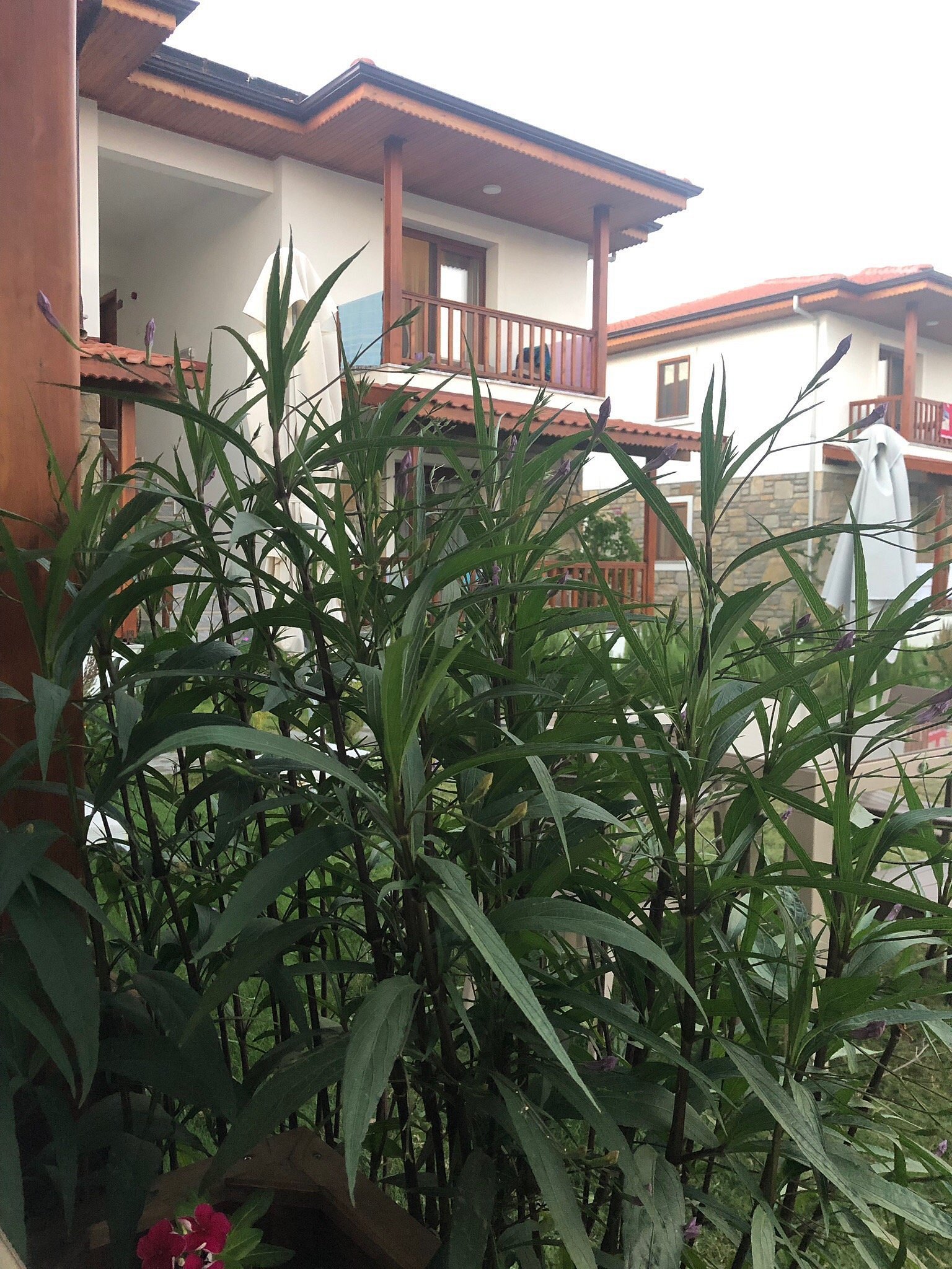 Karaincir Suit Otel photo 3