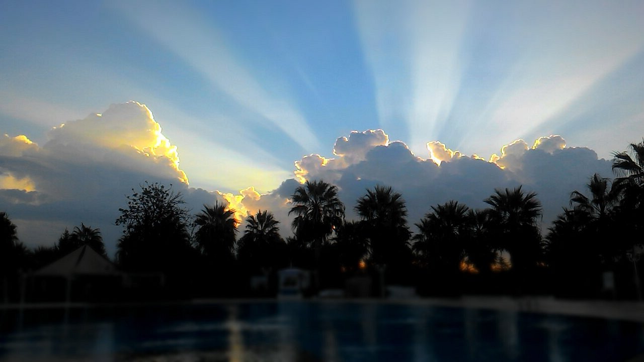 Garden Of Sun Hotel photo 4
