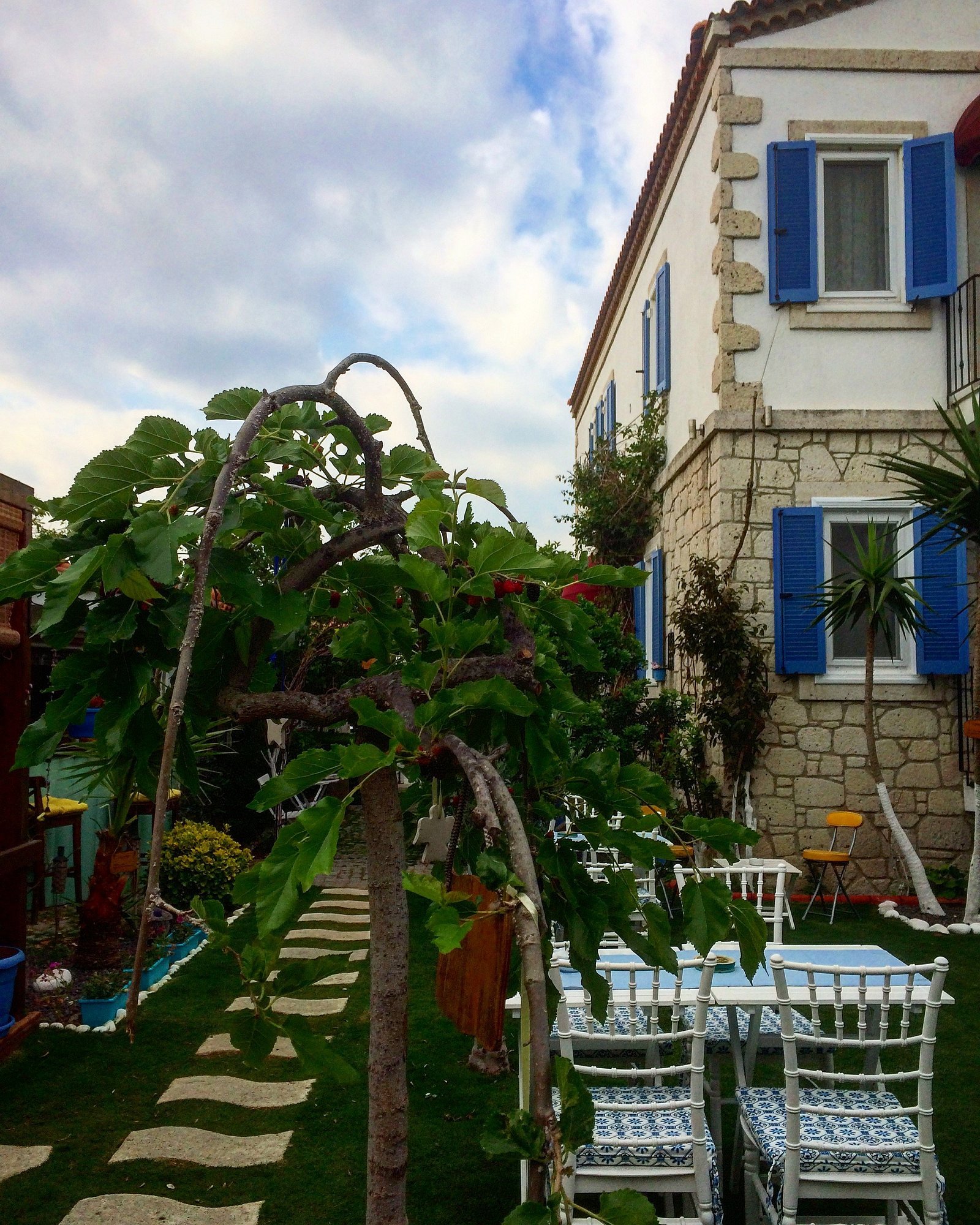 Alaçatı Kayezta Otel photo 6