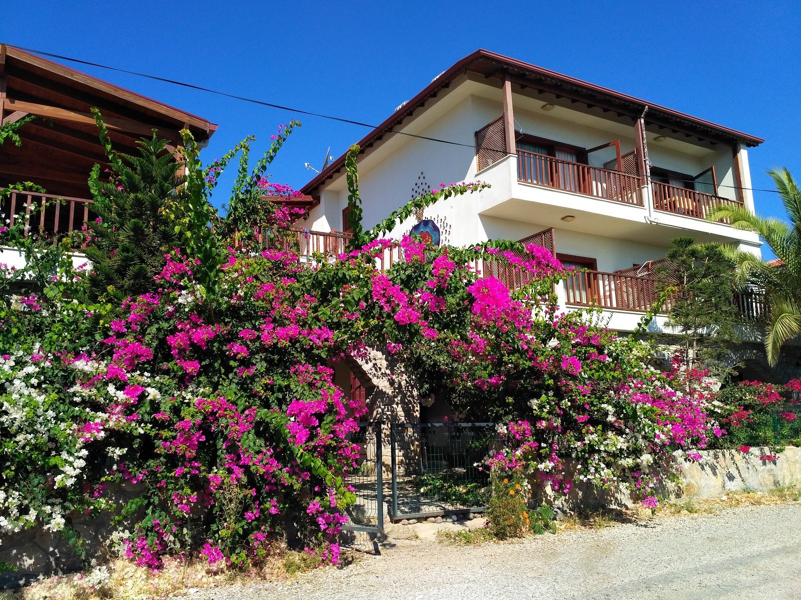 Datça Suites Boutique Hotel photo 3