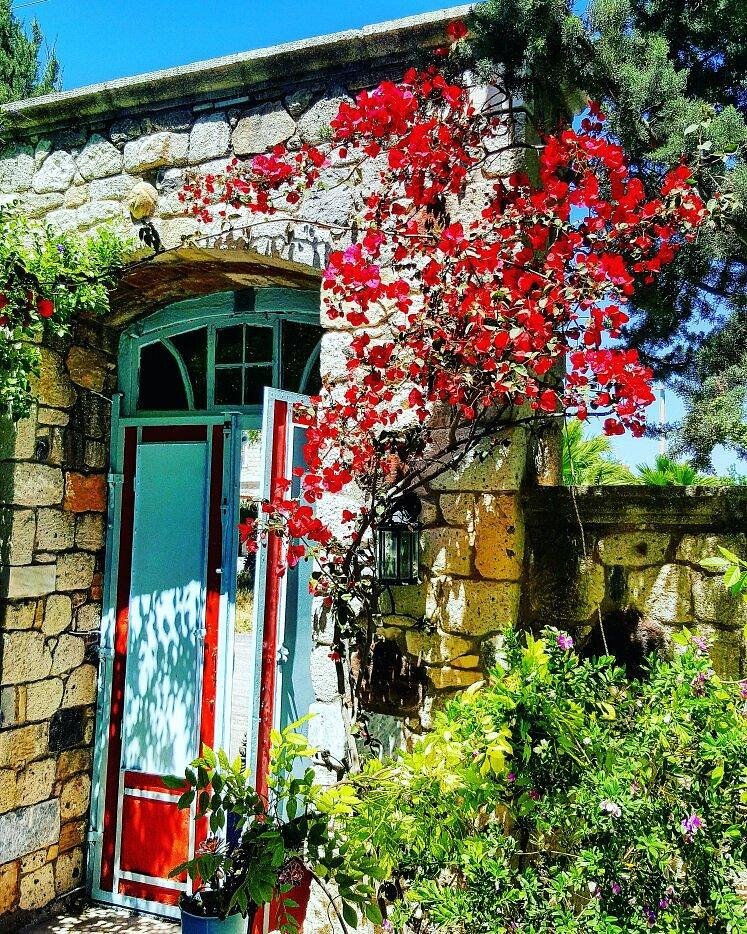 Alacati Zeytin Konak Hotel photo 6