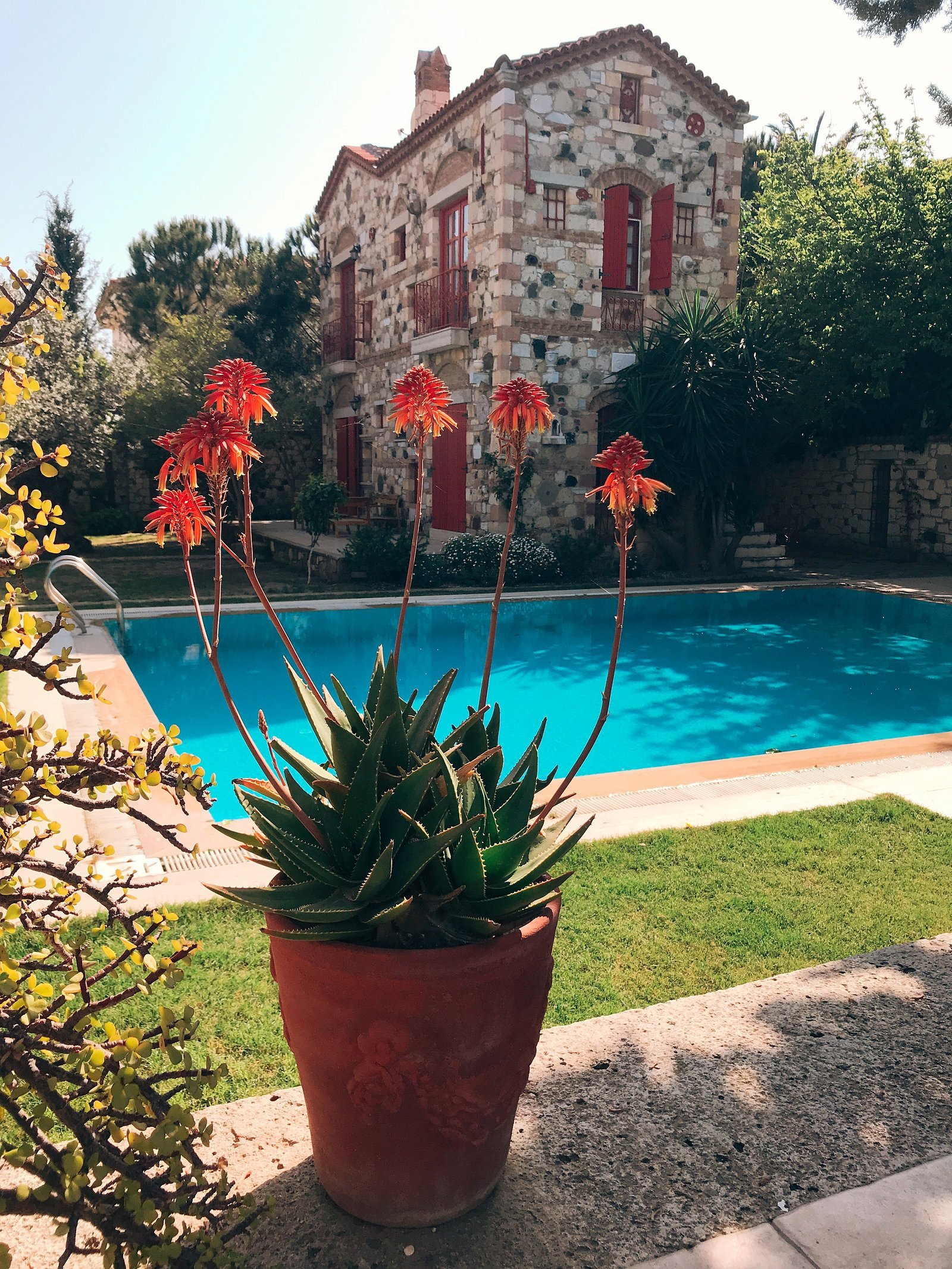 Alacati Zeytin Konak Hotel photo 4