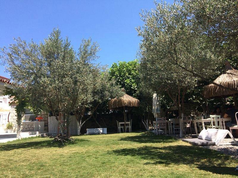 Vintage Boutique Hotel photo 4