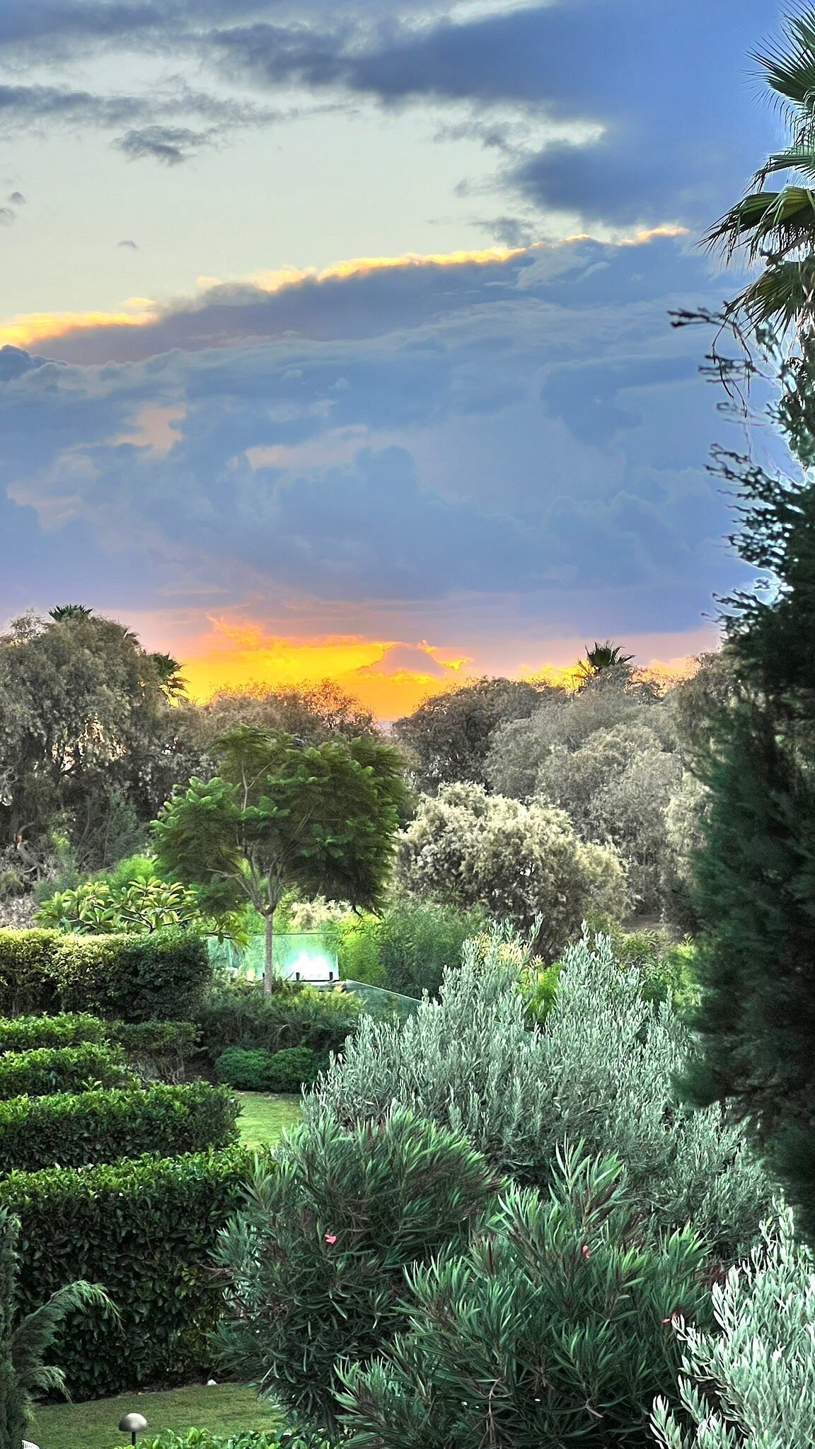 Palaia Hotel photo 2