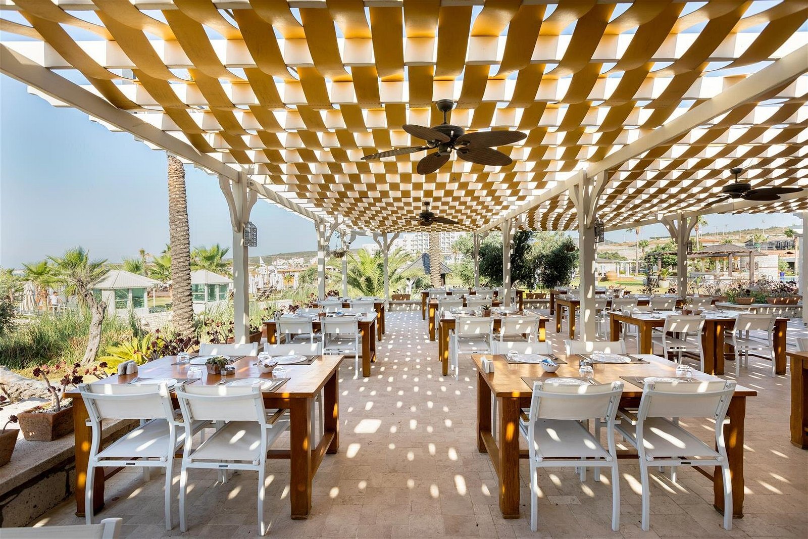 Alaçatı Beach Resort photo 13