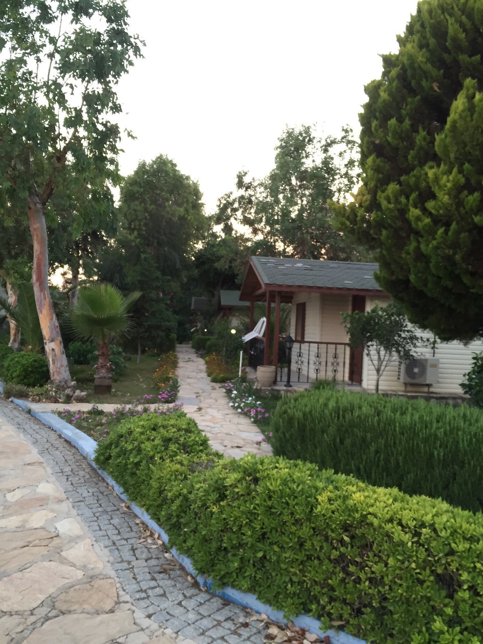 Dirik Surf & Beach Club Hotel photo 5
