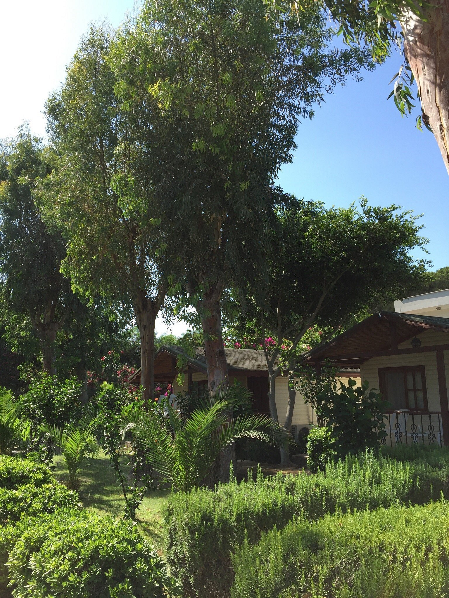 Dirik Surf & Beach Club Hotel photo 6