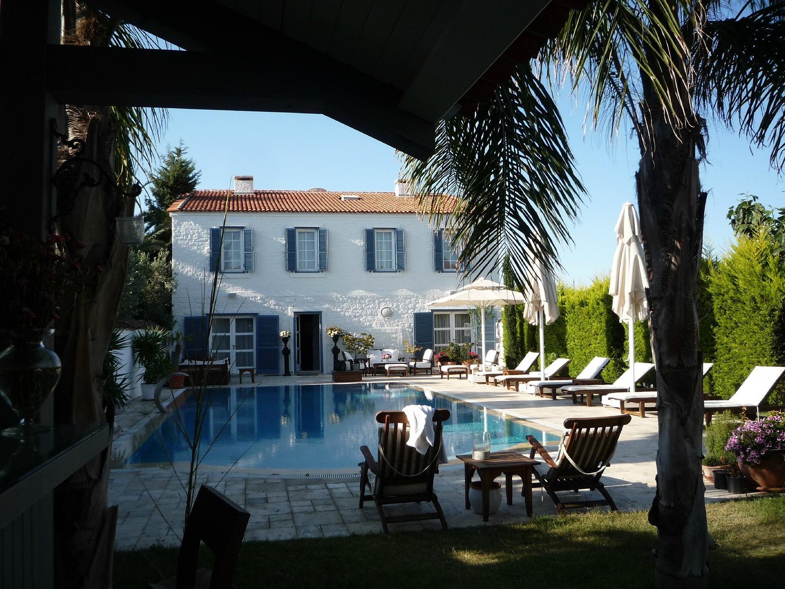 Beyevi photo 12