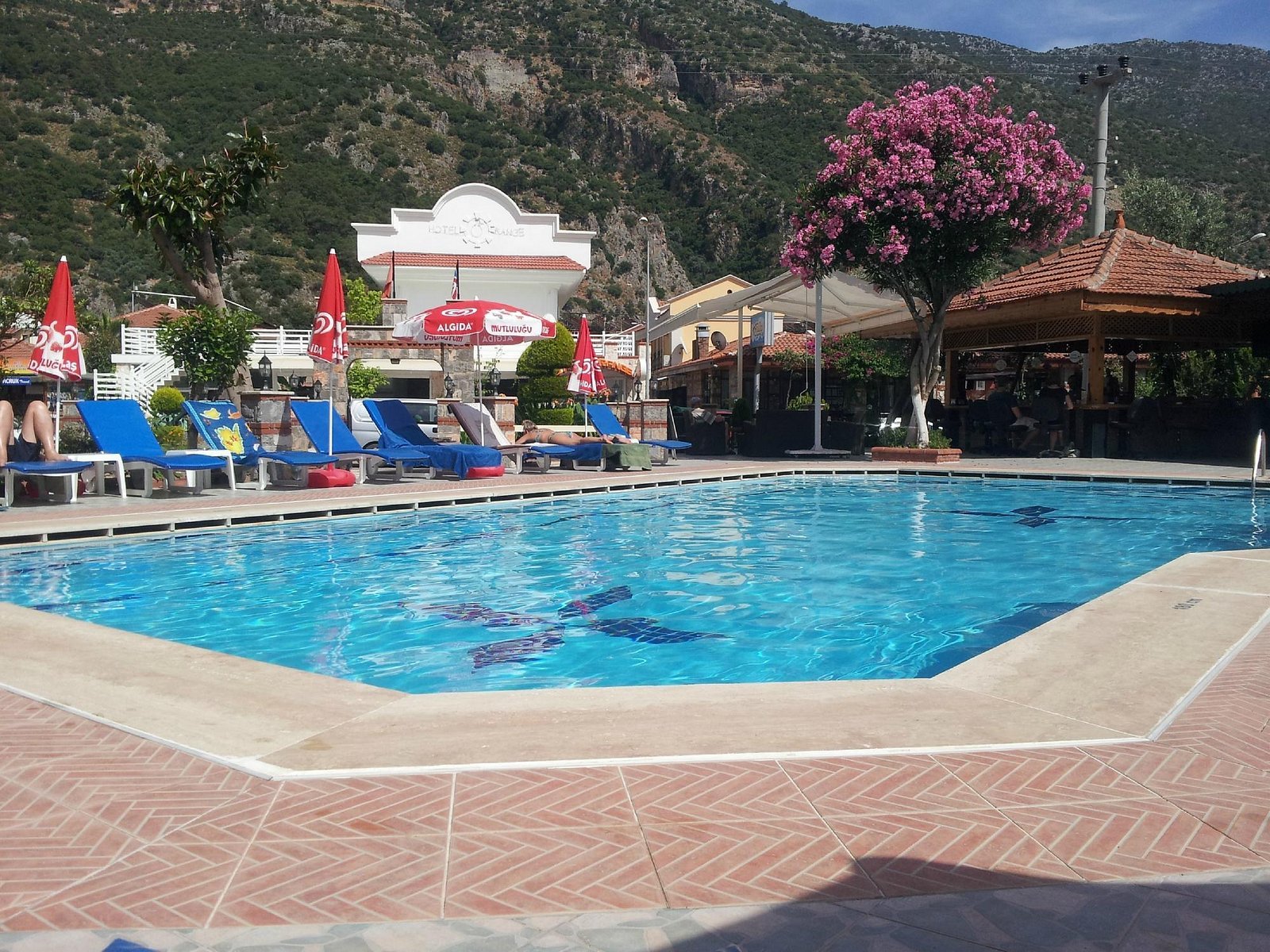 Bronze Hotel photo 5