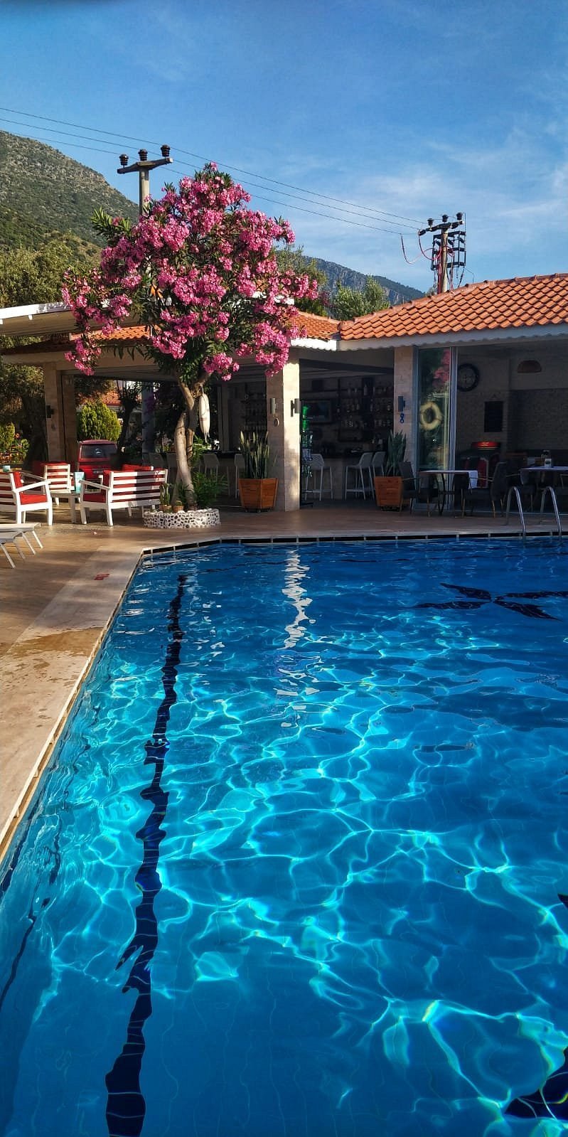 Bronze Hotel photo 7