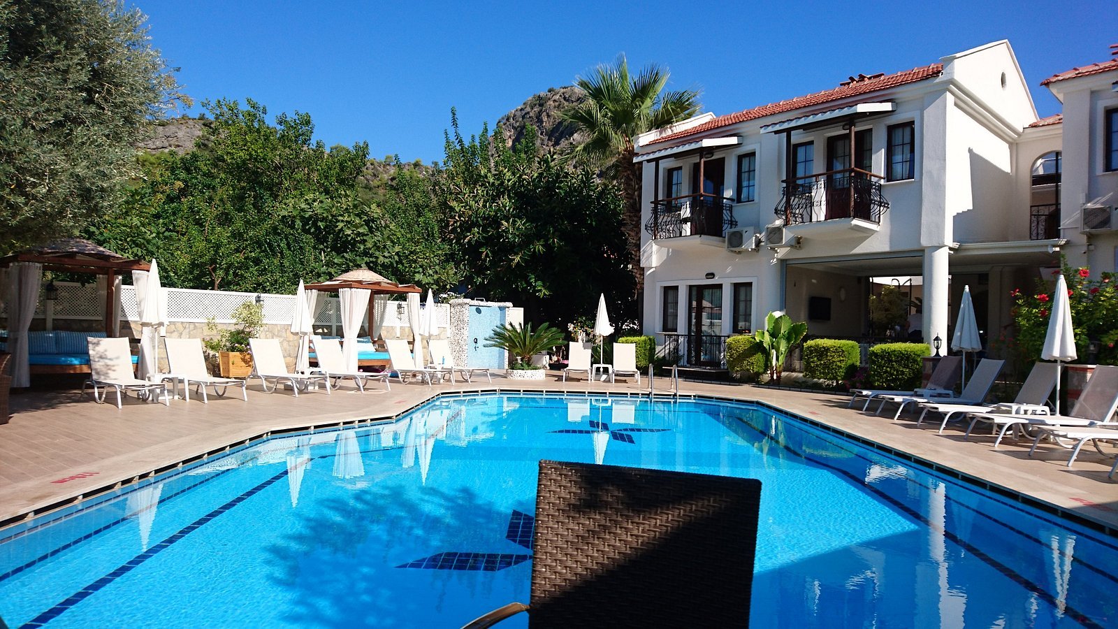 Bronze Hotel photo 8
