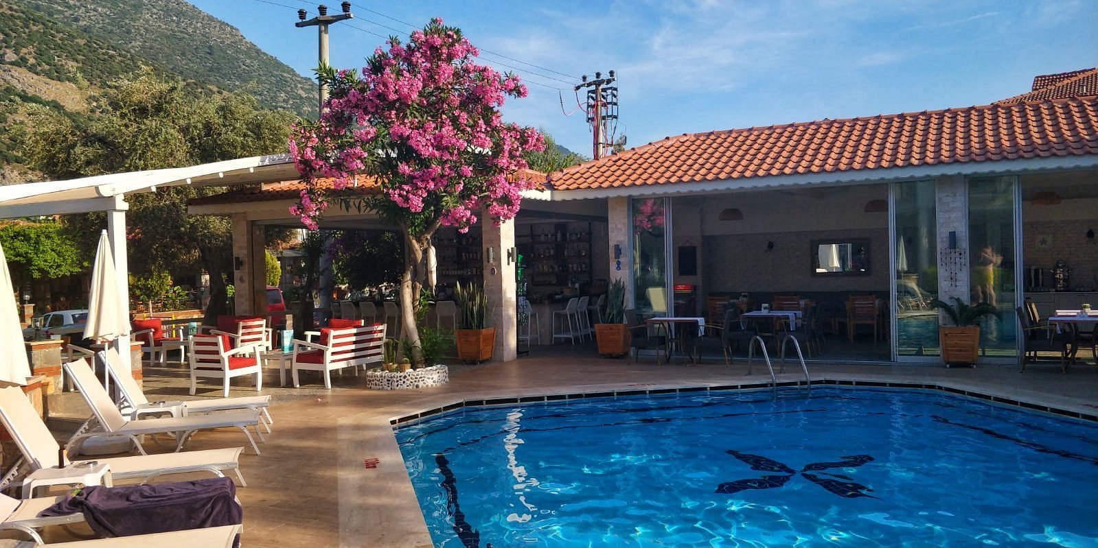 Bronze Hotel photo 9