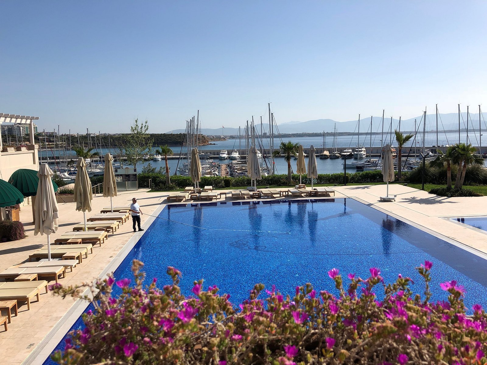 D-Marin photo 10