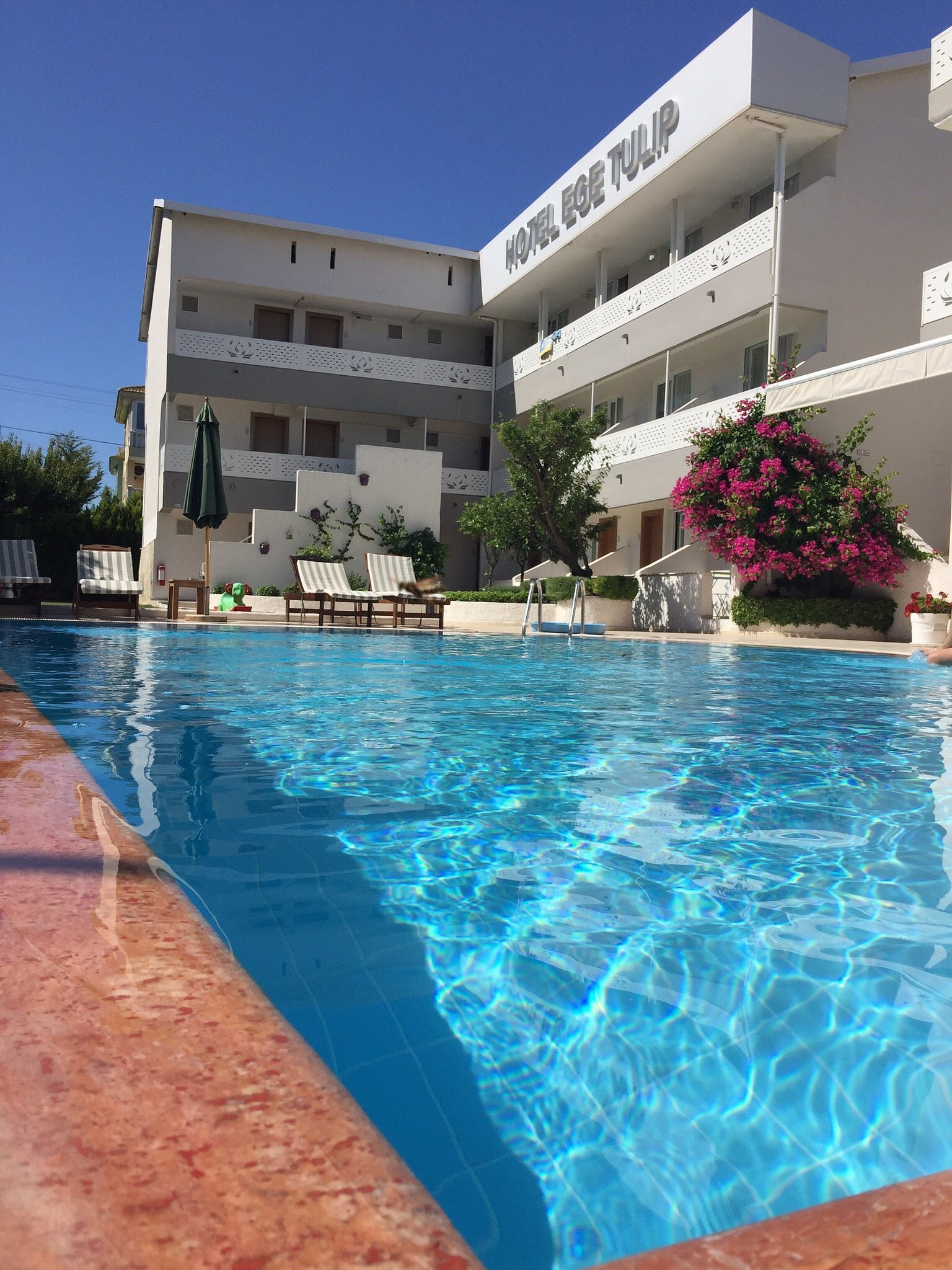 Ege Tulip Cesme photo 10