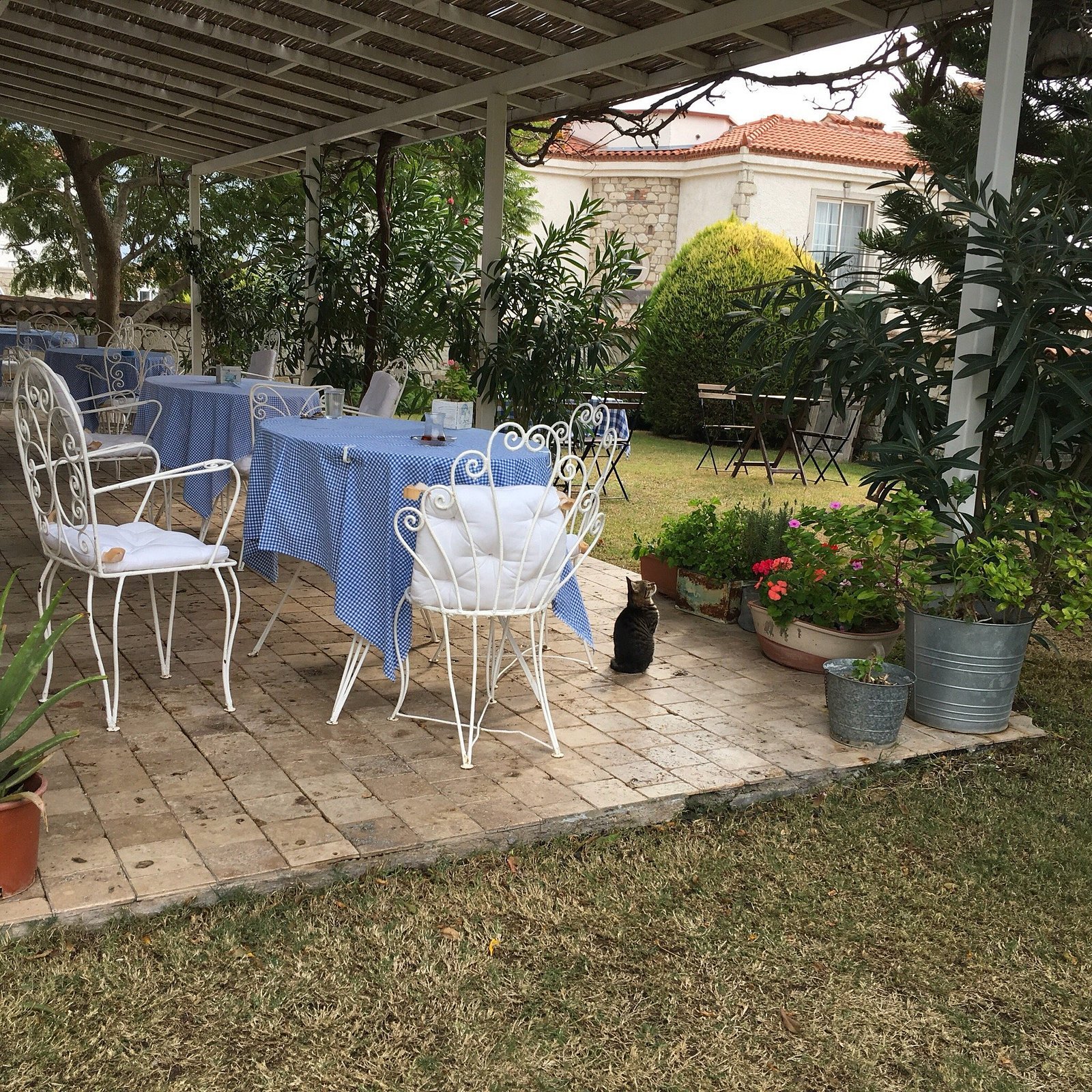 Deniz Kabugu Hotel photo 18
