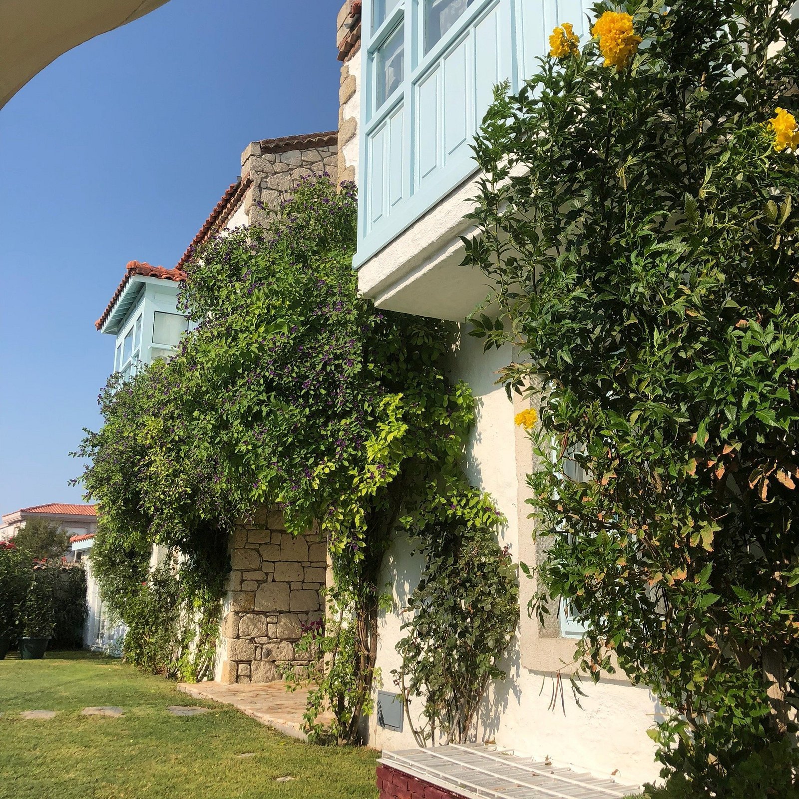Deniz Kabugu Hotel photo 9
