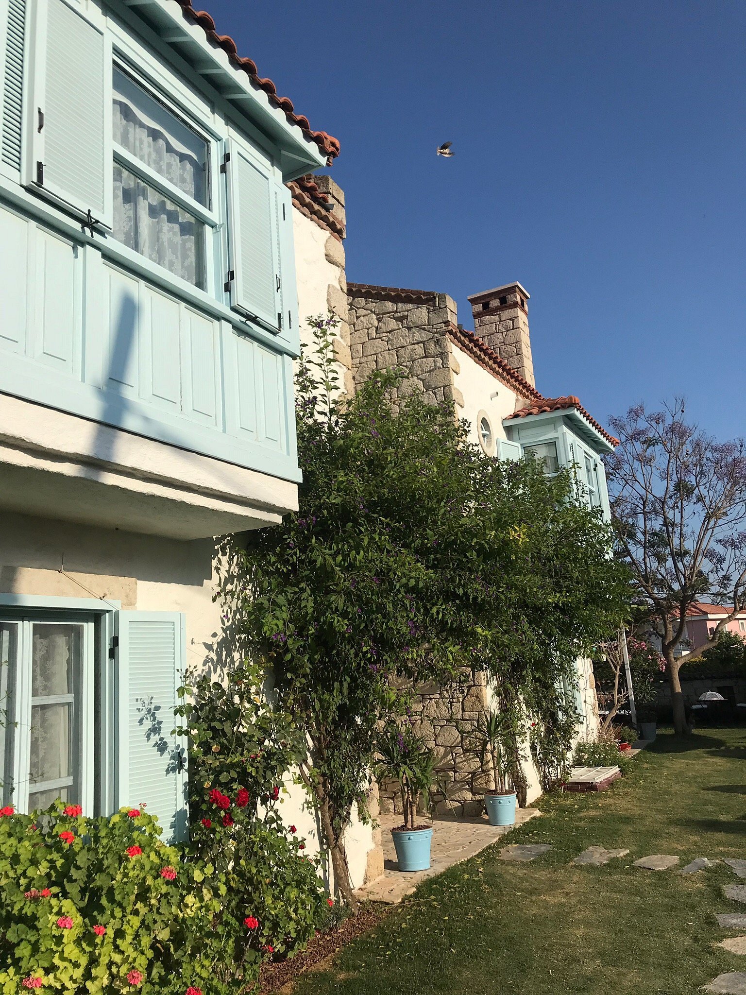 Deniz Kabugu Hotel photo 10
