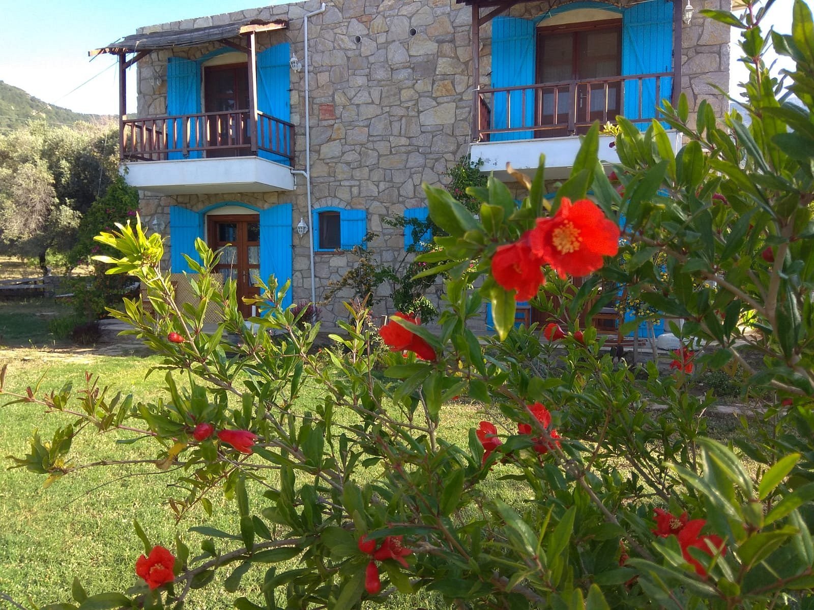 Kabuk Ev Pansiyon- Hotel — Datça