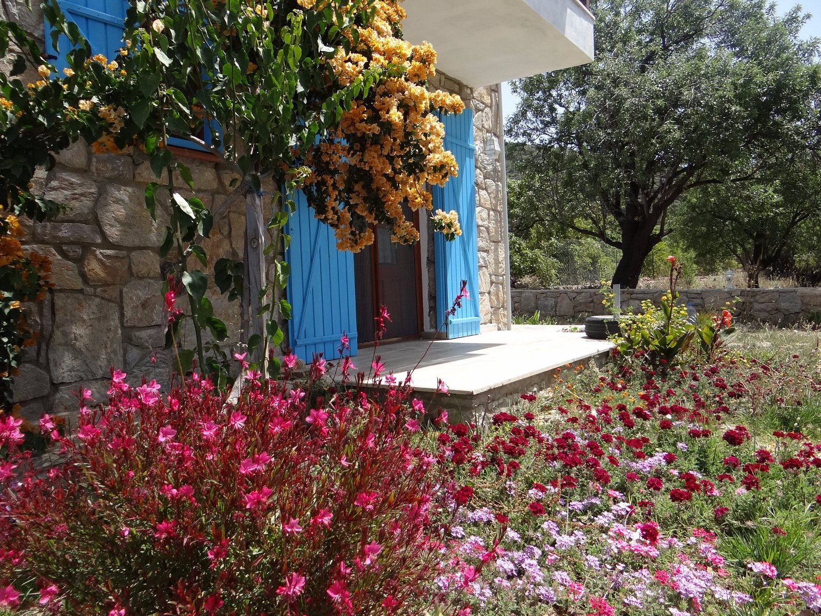 Kabuk Ev Pansiyon- Hotel photo 3