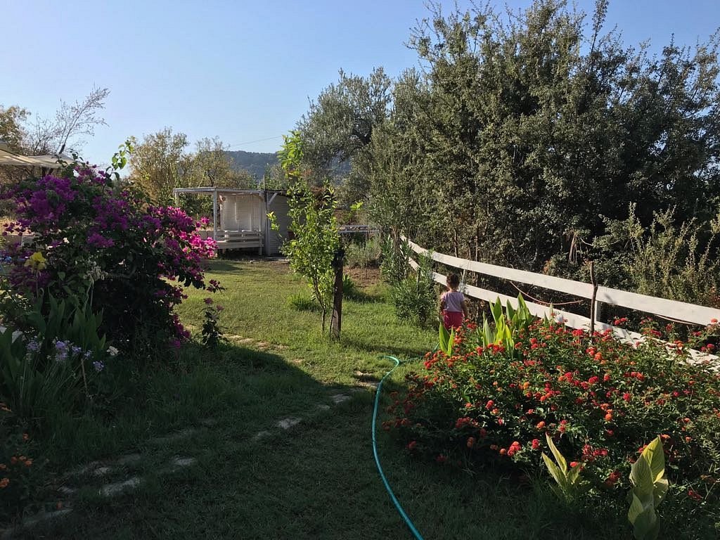 Kabuk Ev Pansiyon- Hotel photo 10