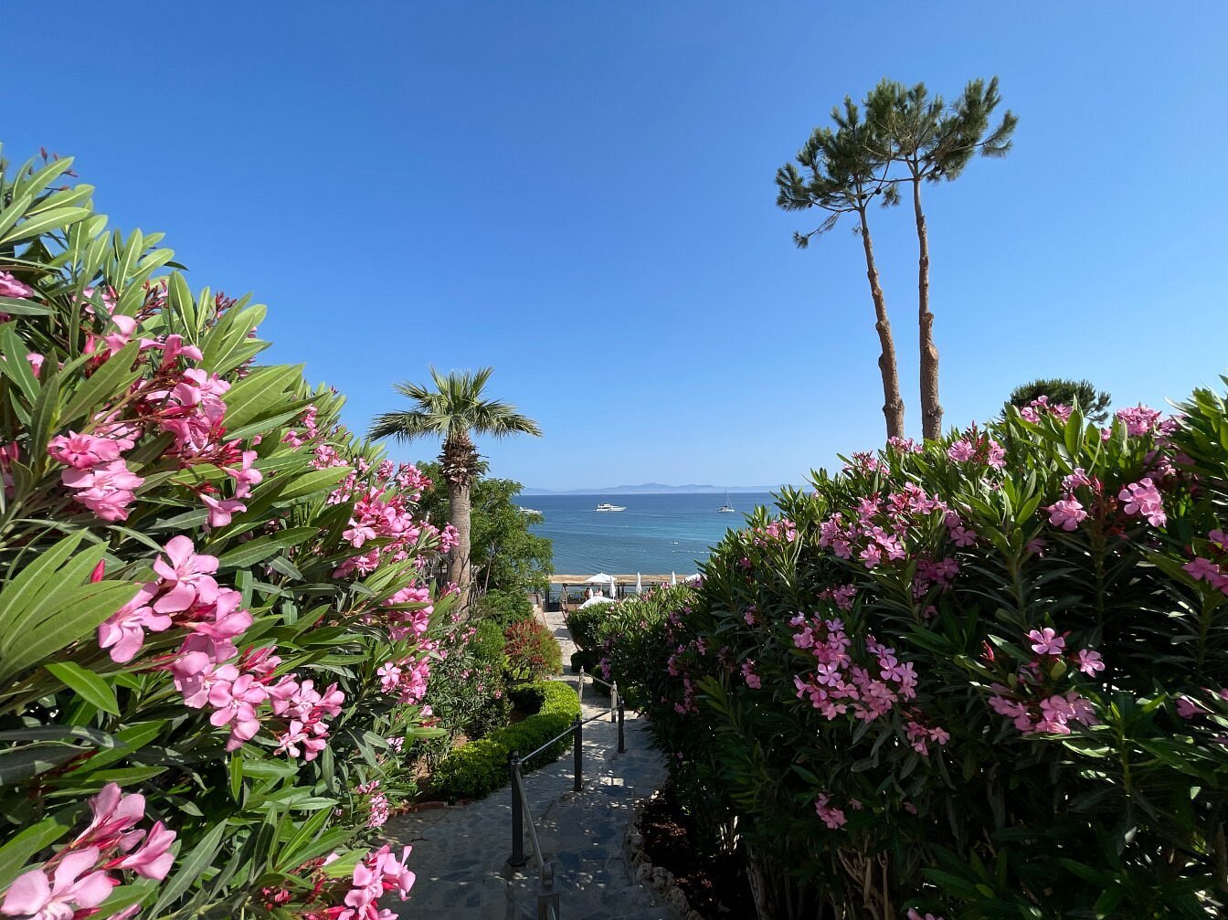 Laur Hotels Experience & Elegance photo 2