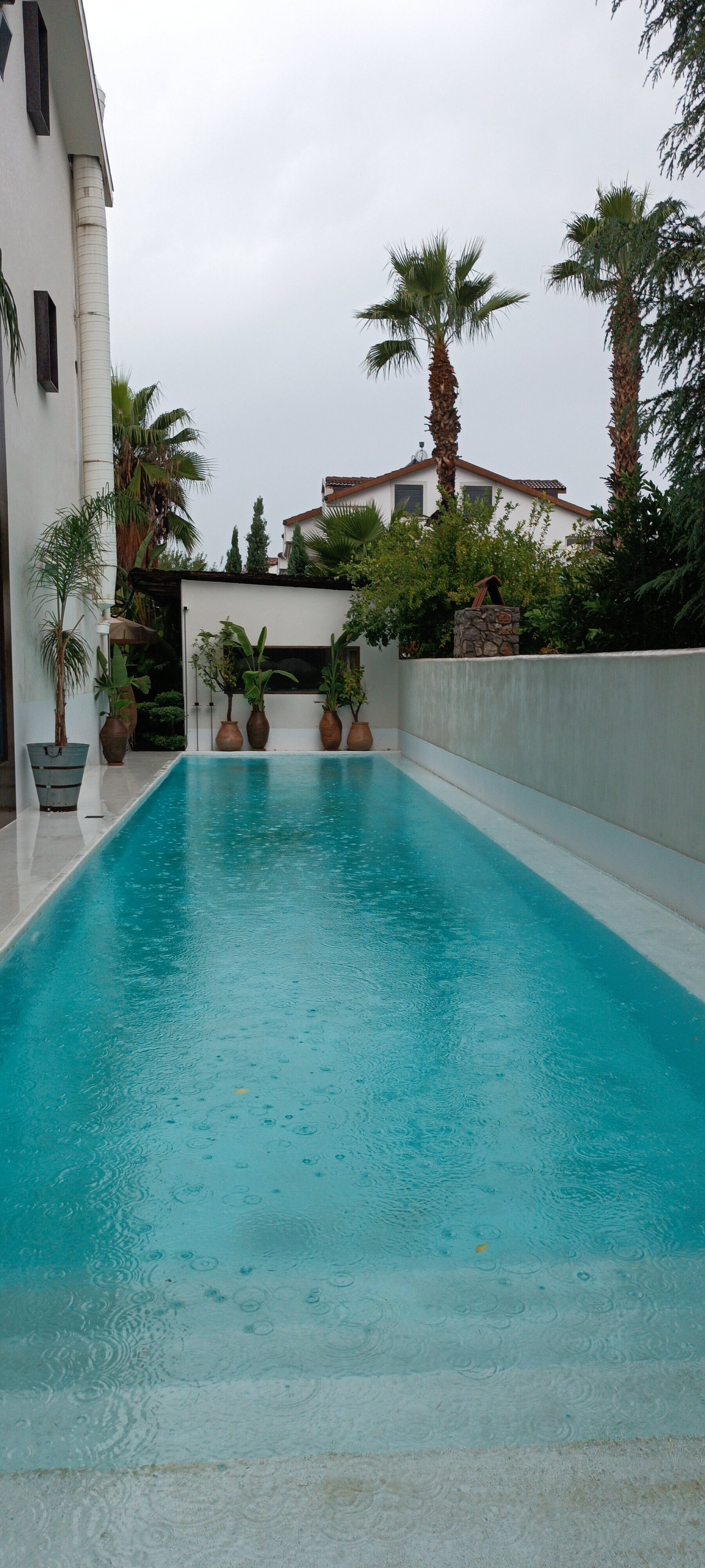 To Be Social House photo 8