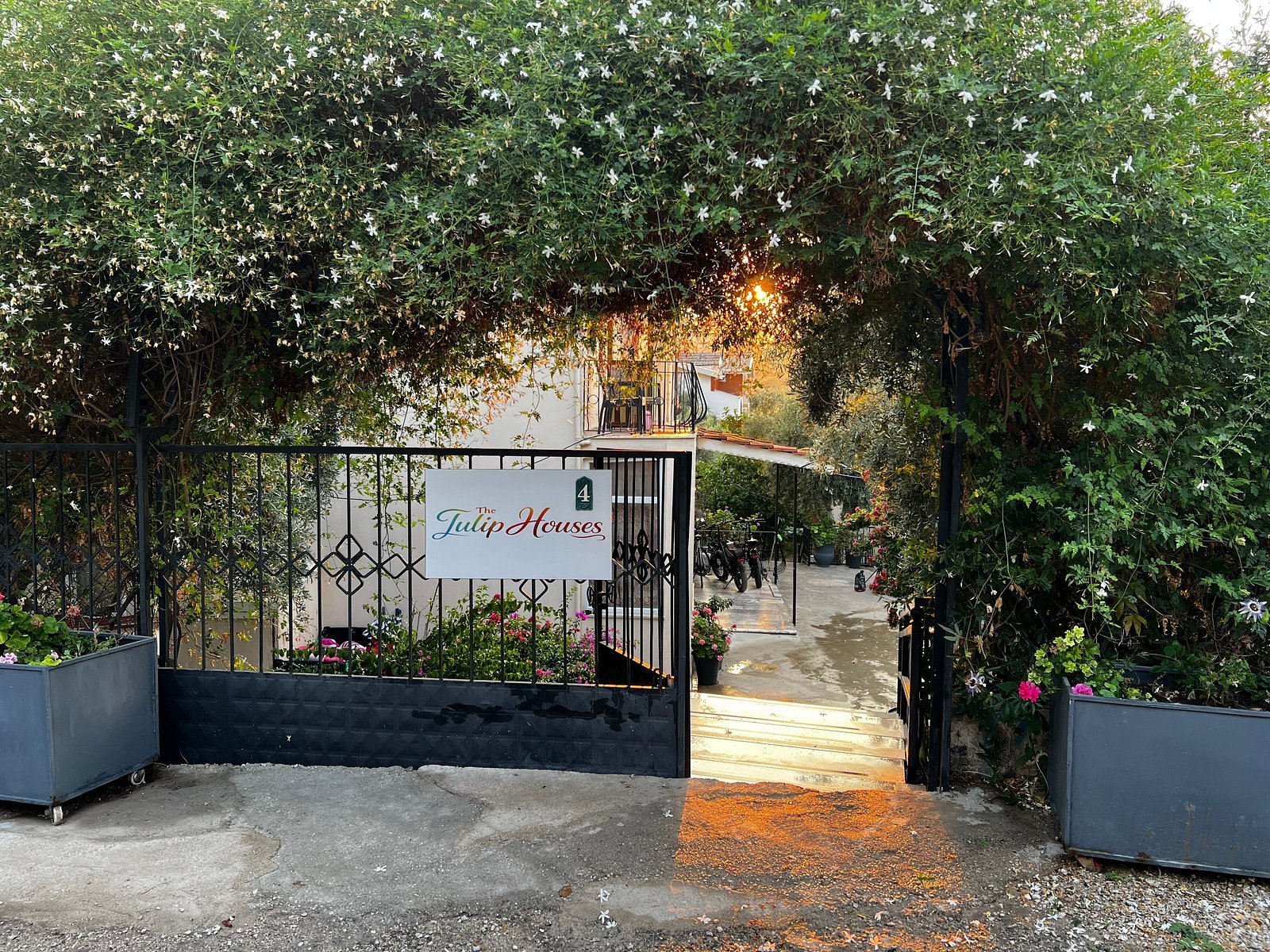 The Tulip House photo 3