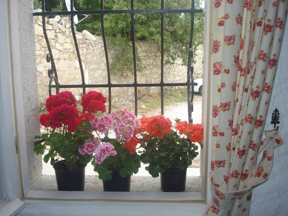 Narcicegi Butik Otel Alacati photo 7