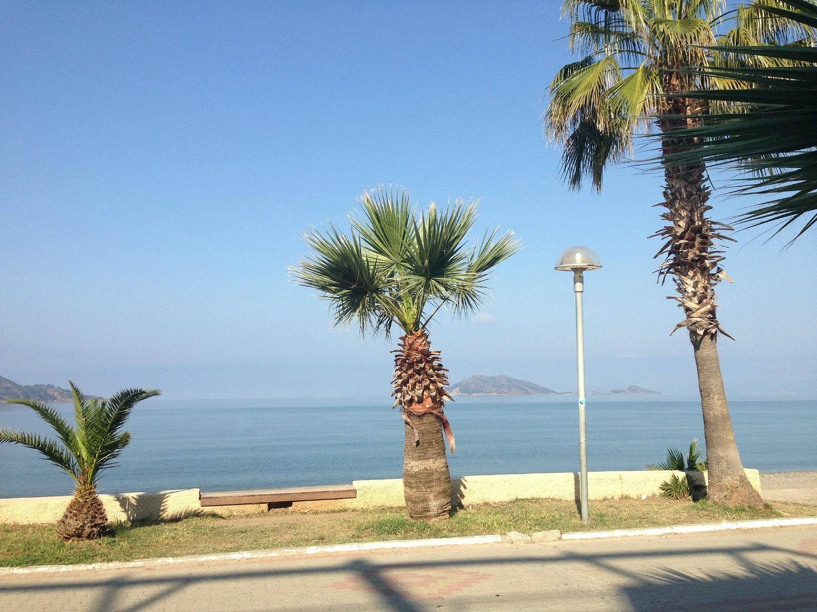 Delta Hotel photo 8