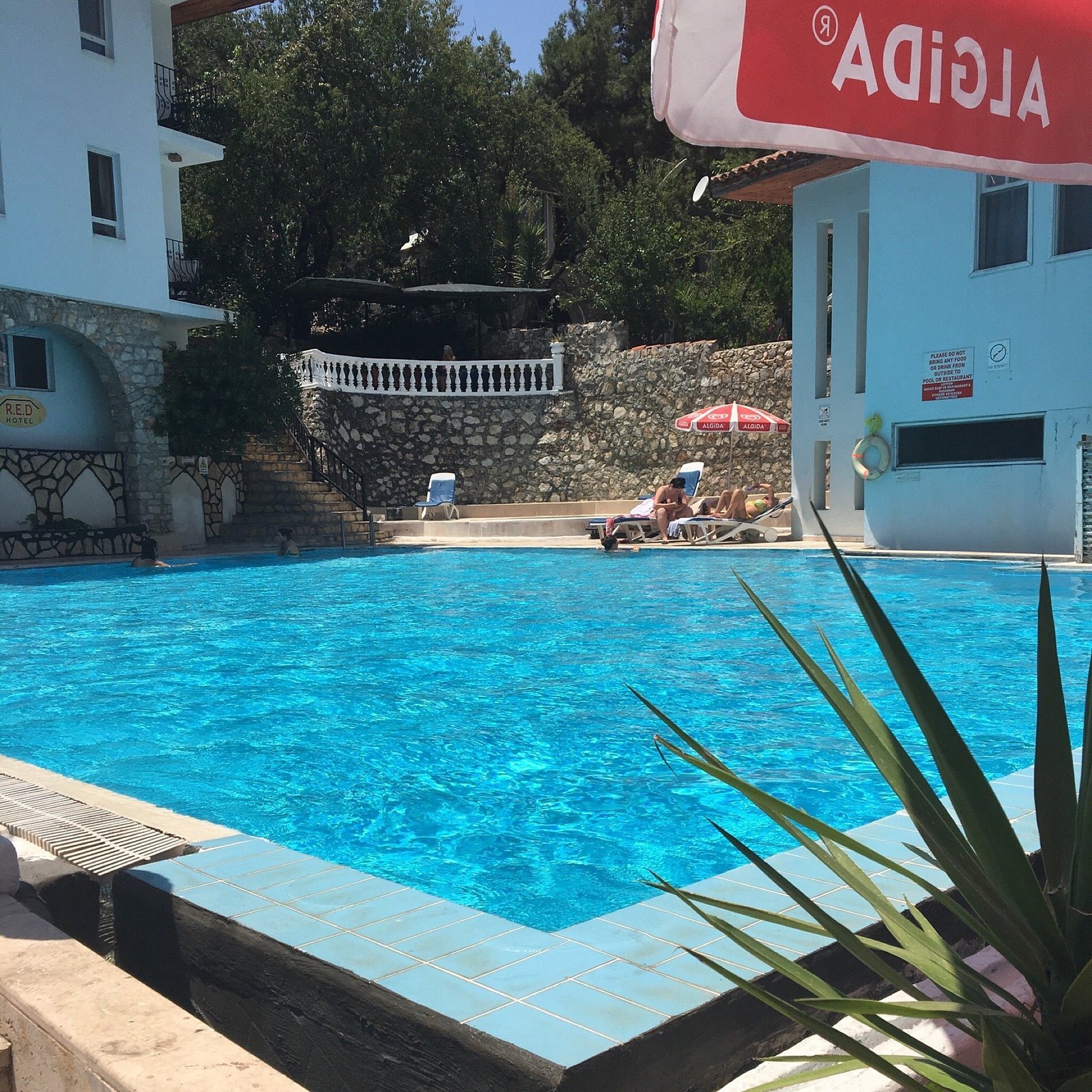 RED Hotel photo 10